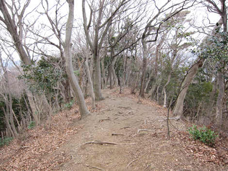 20190214hike (329)